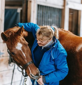 Hest og dyrlæge i stald 